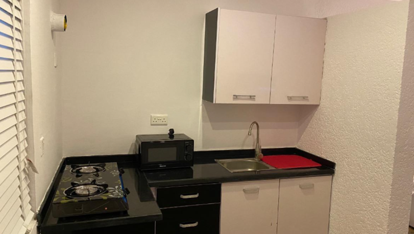 Furnished Luxury Studio Apartment 3